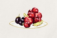 Fruits watercolor  collage element. Remixed by rawpixel.