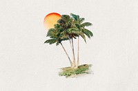 Watercolor coconut tree collage element. Remixed by rawpixel.