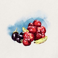 Watercolor fruits  collage element. Remixed by rawpixel.