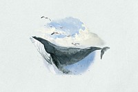 Watercolor humpback whale, environment collage element. Remixed by rawpixel.