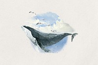 Watercolor humpback whale, environment collage element. Remixed by rawpixel.