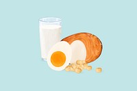 Protein nutrition aesthetic illustration background