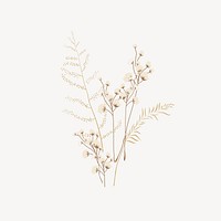 Aesthetic dried flower illustration vector