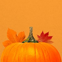 Autumn pumpkin aesthetic background, maple leaf border