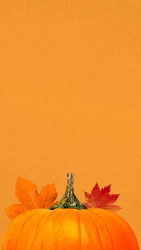 Autumn pumpkin aesthetic iPhone wallpaper, maple leaf border