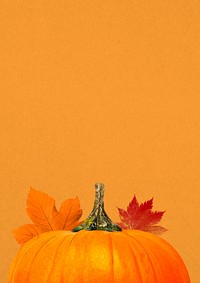 Autumn pumpkin aesthetic background, maple leaf border