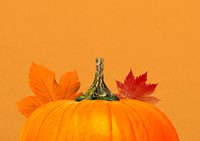 Autumn pumpkin aesthetic background, maple leaf border