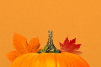 Autumn pumpkin aesthetic background, maple leaf border