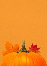 Autumn pumpkin aesthetic background, maple leaf border