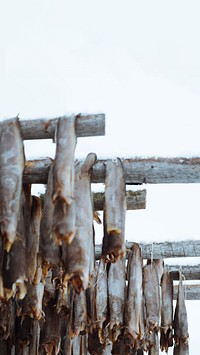 Cod fish drying phone wallpaper