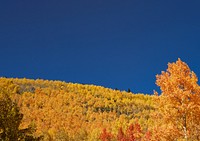 Autumn meadow border background, blue sky image