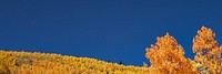 Autumn meadow border background, blue sky image