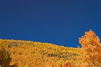 Autumn meadow border background, blue sky image