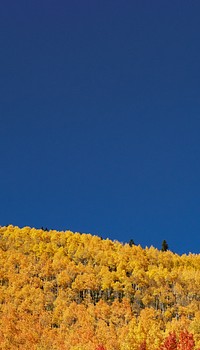 Autumn meadow border iPhone wallpaper, blue sky image