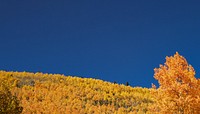 Autumn meadow border background, blue sky image