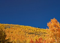 Autumn meadow border background, blue sky image