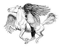 Line art drawing of Pegasus.