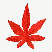 Red maple leaf isolated object psd