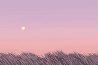 Purple dawn grass background, painting  illustration