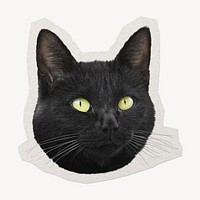 Black cat  paper element with white border