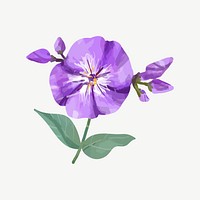 Watercolor purple phlox flower collage element psd