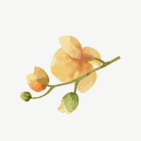 Watercolor yellow flower collage element psd