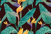 Watercolor bird of paradise background