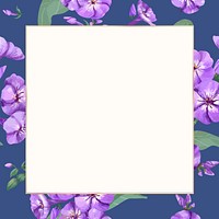 Watercolor purple phlox frame