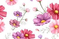 Watercolor pink cosmos flower background