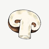 Mushroom vintage illustration, collage element psd