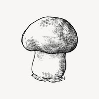 Black & white cremini mushroom illustration vector