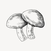 Black & white shiitake mushrooms vector