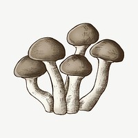 Mushroom cluster illustration psd