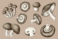 Mushroom illustration set psd