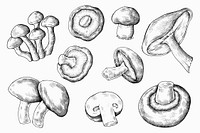 Black & white mushroom illustration set psd