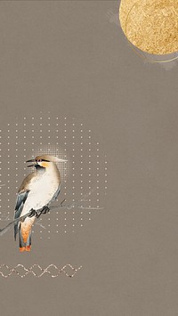 Aesthetic Japanese bird iPhone wallpaper, brown design