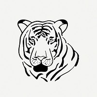 Wild tiger vintage illustration psd. Free public domain CC0 image.