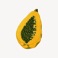 Half papaya fruit illustration vector. Free public domain CC0 image.