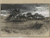 Thorn-trees near Niagara (1887) by Harry Fenn