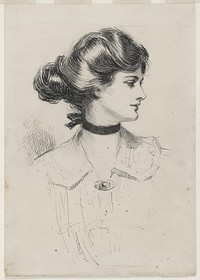 A daughter of the south (1909) by Charles Dana Gibson