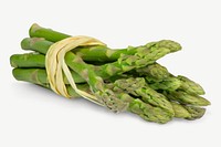 Asparagus collage element psd