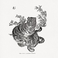 Tiger, traditional Japanese animal illustration. Public domain image from our own original 1884 edition of The Ornamental Arts Of Japan. Digitally enhanced by rawpixel.