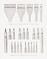 Kano Riu's paint brushes, vintage illustration. Public domain image from our own original 1884 edition of The Ornamental Arts Of Japan. Digitally enhanced by rawpixel.