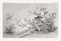 Black ink painting of birds and plants, traditional painting by G.A. Audsley-Japanese illustration. Public domain image from our own original 1884 edition of The Ornamental Arts Of Japan. Digitally enhanced by rawpixel.