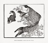 Hokusai's carp fish, Japanese animal illustration. Public domain image from our own original 1884 edition of The Ornamental Arts Of Japan. Digitally enhanced by rawpixel.
