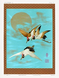 Three sarus crane flying in front of the moon, vintage painting by G.A. Audsley-Japanese illustration. Public domain image from our own original 1884 edition of The Ornamental Arts Of Japan. Digitally enhanced by rawpixel.