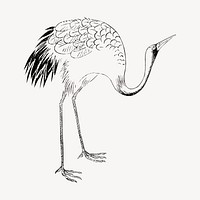 Japanese crane bird, vintage animal by Ogata Korin from the Korin Shinsen Hiaku-Dzu-Japanese illustration. Remixed by rawpixel.