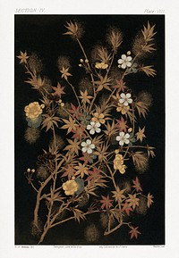 Japanese Autumn flowers & tree, vintage botanical illustration. Public domain image from our own original 1884 edition of The Ornamental Arts Of Japan. Digitally enhanced by rawpixel.