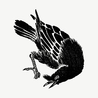 Crow bird, vintage animal illustration.  psd. Remixed by rawpixel.