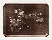 Antique print of bas-relief Japanese tray from section V plate IX. by G.A. Audsley-Japanese illustration. Public domain image from our own original 1884 edition of The Ornamental Arts Of Japan. Digitally enhanced by rawpixel.